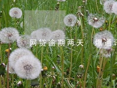 网贷逾期两天 爆通讯录